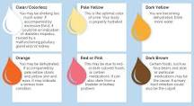 What Color Is Your Urine? | Methodist Health System | Omaha ...