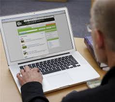 Image result for Lycium pilifolium