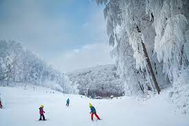 When to book a hotel in eplény. Epleny Ski Spass Mit Einschrankungen Budapester Zeitung