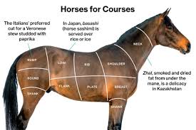 Horse Meat Chart Houstonherald Com