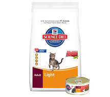 Why feed your cat high calorie cat food. Factors That Contribute To Your Cat S Weight Gain Hill S Pet