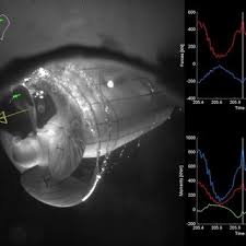+ add or change photo on imdbpro ». Pdf Centre Of Pressure Of 6 Degree Of Freedom Loads Applied To Impact Measurements On A Propeller Blade