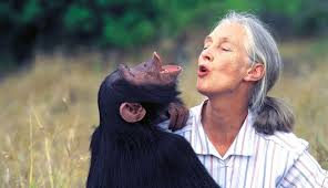 This sweeping documentary celebrates the vast legacy of dr. Jane Goodall The Hope 2020 Cast Release Date Plot Trailer