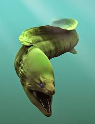 Moray Eel Don T Make Me Mad You Wouldn T Like Me When I M Angry Ocean Creatures Deep Sea Creatures Ocean Animals