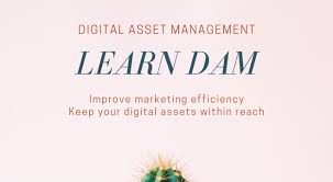 Never miss out on learning about the next big thing. Digital Asset Management Software Mediabeacon