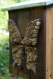 Credit Photo Hotel A Insectes Bercy Jean Pierre Viguie Hotel A Insectes Nichoir A Insectes Insectes De Jardin