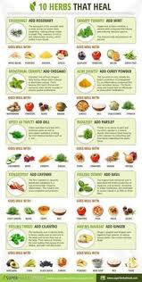 Love Of Nature Healing Food Healing Herbs Health And Nutrition