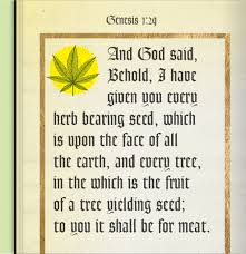 If you want to invest in weed stocks, the most convenient way is to use an online broker. These Devout Christians Are Using The Bible To Argue That Pot Is God S Perfect Medicine