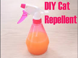 diy cat repellent you