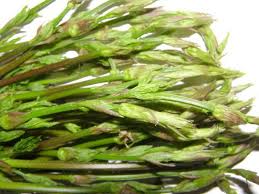 We did not find results for: Aspargina Germogli Di Luppolo Selvatico Come Cucinare E Proprieta Alimentipedia It