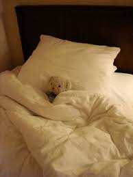 Check spelling or type a new query. By The Time I Finally Get Comfortable In My Bed Its Time To Get Up Posts Facebook