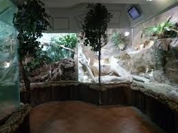 Reptile Enclosures In The Netherlands Via Zoo Char Reptile Room Reptile Enclosure Reptiles