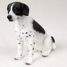 Black And White Pointer Pointer Brown White Standard Figurine Pointer Dog Black White Dog Most Popular Dog Breeds
