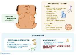 They are arranged in a ring shape; Cervical Lymphadenopathy What Is It Causes Workup Treatment And More Osmosis