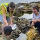 Bioblitz Battle Kilve Beach (November 2025) event image