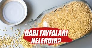 Dari Nedir Dari Faydalari Nelerdir Saglik Haberleri