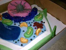 Jeff has written many stories in his book of truth and reads it in there in part of level 2 to the four remaining kids as a film and animation plays on the screen. Plant Cell Cake 7th Grade Life Science Project Cakecentral Com