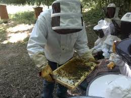 We did not find results for: La Maison Des Abeilles Au Parc De La Poudrerie De Sevran Livry