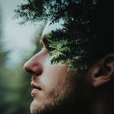 Free Rusty Metal Texture Image