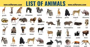 List Of Animals A Big Lesson Of Animal Names With The Pictures List Of Animals Animals Name With Picture Animal Infographic