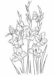 Maybe you would like to learn more about one of these? Various Type Of Flower Coloring Pages Pdf Free Coloring Sheets Printable Flower Coloring Pages Drawings Flower Coloring Pages