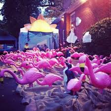 Birthday Lawn Signs Rental Toronto Canadian Migration Of Flamingos Call Birthdaysigns Ca Serving Toronto And Area Flamingo Madness Pink Flamingos Lawn Ornaments Pink Flamingos Flamingo