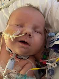 Husband wants to abandon newborn triplets