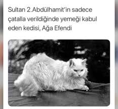 Ilham Verici Sozler Panosundaki Pin