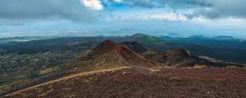 Image result for Nicolasia