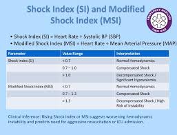 Image result for Shock Index