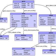 Our staff find it intuitive to use and we are. Database Schema Geno Single Database Schema For The Affymetrix Download Scientific Diagram