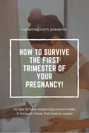 Image result for First Trimester Education