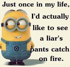 250 Liar Liar Pants On Fire Ideas Liar Fire Bones Funny