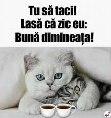 Cerca questo pin e molto altro su buna dimineata imagini frumoase di buna dimineata imagini. BunÄƒ DimineaÈ›a FrumoÈ™ilor Viral Pe Internet