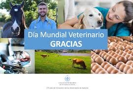 El comité de ganadero del tolima se une a las manifestaciones de agradecimiento a nuestros veterinarios.feliz día!!! Dia Mundial Veterinario Colegio Oficial De Veterinarios Del Principado De Asturias