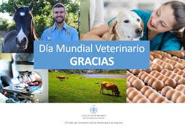 Nos cuenta estanislao, ingeniero agrónomo, asesor crea desde hace 16 años y actual asesor de la región crea patagonia: Dia Mundial Veterinario Colegio Oficial De Veterinarios Del Principado De Asturias