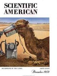 Water scarcity can be due to physical water scarcity and economic water scarcity. What Are The Adaptations Allowing The Camel To Withstand Dry Hot Environments Long Watering Intervals And Prolonged Drought