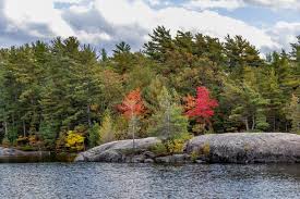 We did not find results for: 3 523 Fall Leaves Ontario Photos Free Royalty Free Stock Photos From Dreamstime