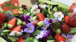 Pero lo que te recomiendo es que utilices una base en forma de hexágono de 8cm cada lado. 10 Flores Comestibles Para Tus Platos Agromatica