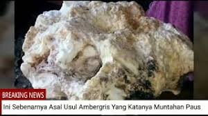 Jenis garis menurut tebalnya ada dua. Jenis Jenis Ambergris Mengenal Ambergris Muntahan Paus Yang Harganya Hingga Miliaran Rupiah Halaman All Kompas Com Sistem Operasi Windows Microsoft Windows Jenis Jenis Sistem Operasi Komputer Bob Haircut Style