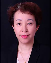 Porous Liquids Open New Horizons: Synthesis, Applications, and Prospects