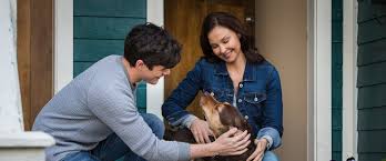 You will notice a few dumbasses whom ignore the above description and thereby sarcastic title. A Dog S Way Home Movie Review 2019 Roger Ebert