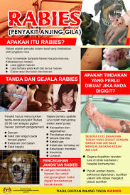 Malaysia Sarawak Reports 1st Rabies Death Of 2020 Outbreak News Today
