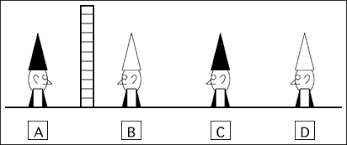 Brain Teasers