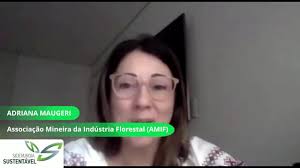 Siderurgia Sustentável