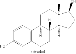Image result for Estrogen