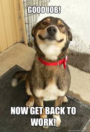 Good Job Now Get Back To Work Good Dog Greg Quickmeme