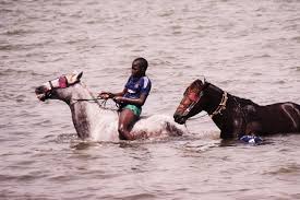Non riusciva a tornare in senegal da quattro anni, perché aveva avuto problemi con il permesso di soggiorno, che aveva risolto da un mese, racconta thiame che. Hacking The Dream Of Becoming An International Equestrian Jockey From Sabana In Senegal