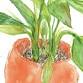 Capturing Plant Life in Watercolour event image