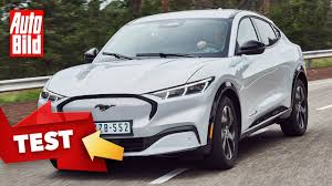 Looking at recent february auto sales data, analysts at morgan stanley discovered an interesting nugget. Ford Mustang Mach E Leasing Fur 325 Euro Mtl Netto Sparneuwagen De